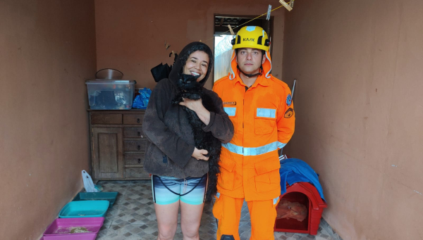 Corpo de Bombeiros de Araxá resgata gato com cauda presa na concertina de muro