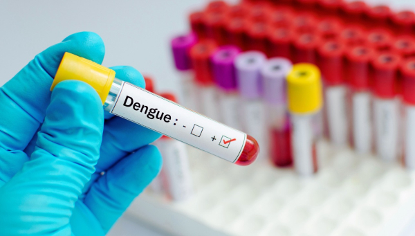 Minas Gerais chega a quase 800 mil casos prováveis de Dengue registrados em 2024