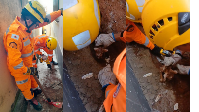 Corpo de Bombeiros resgata gato preso em encanamento após mais de 14 horas de angústia em Araxá