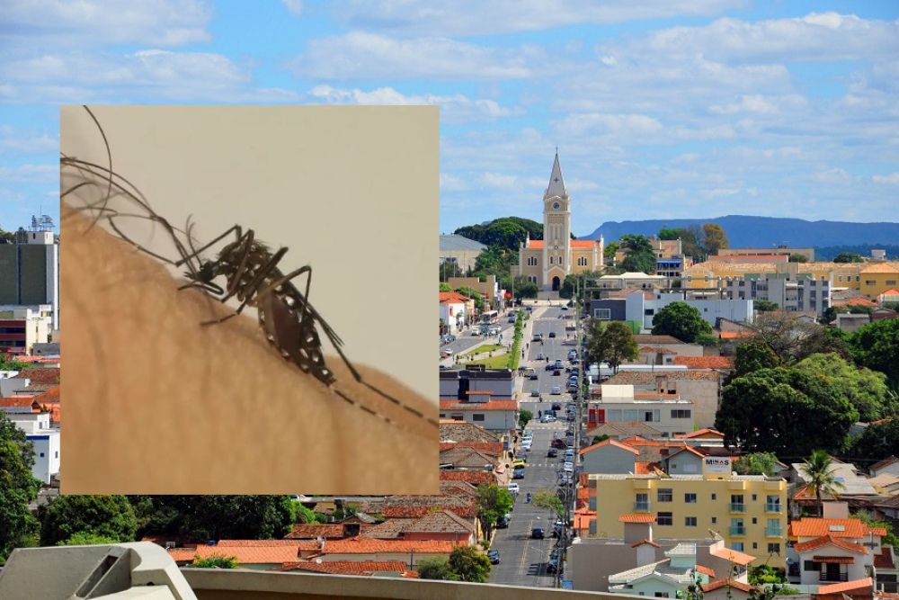 “Pão de Açúcar, Centro e João Ribeiro lideram focos do Aedes”, alerta supervisor de endemias em Araxá
