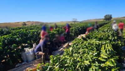 Fiscalização resgata 32 trabalhadores em condições análogas à escravidão em fazenda de café em Perdizes